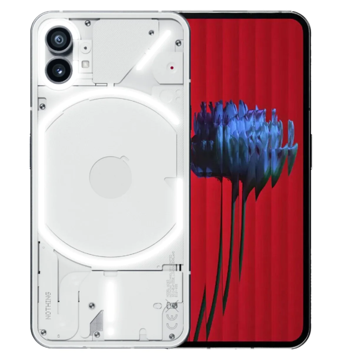 Cloud Nine 152cm Raven Limited Edition - Avo