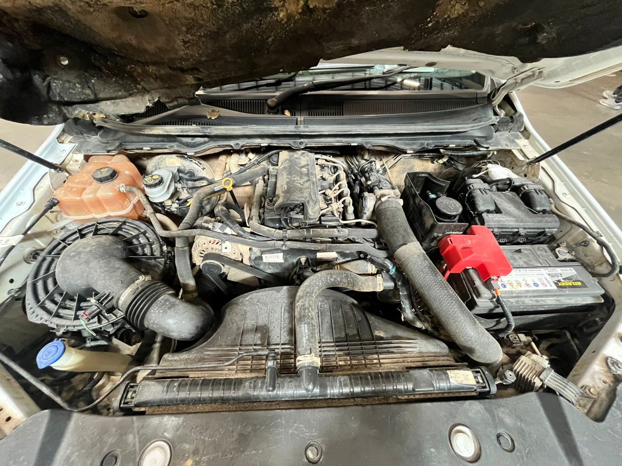 2019 Ford Ranger VIII 2.2 TDCi XL Pick Up Single Cab 4X4