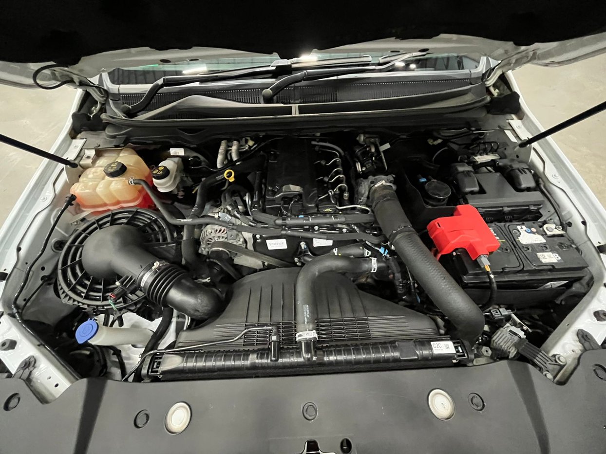 2020 Ford Ranger VIII 2.2 TDCi XL Single Cab Q2FyTGlzdGluZzo2MjY4NTM ...