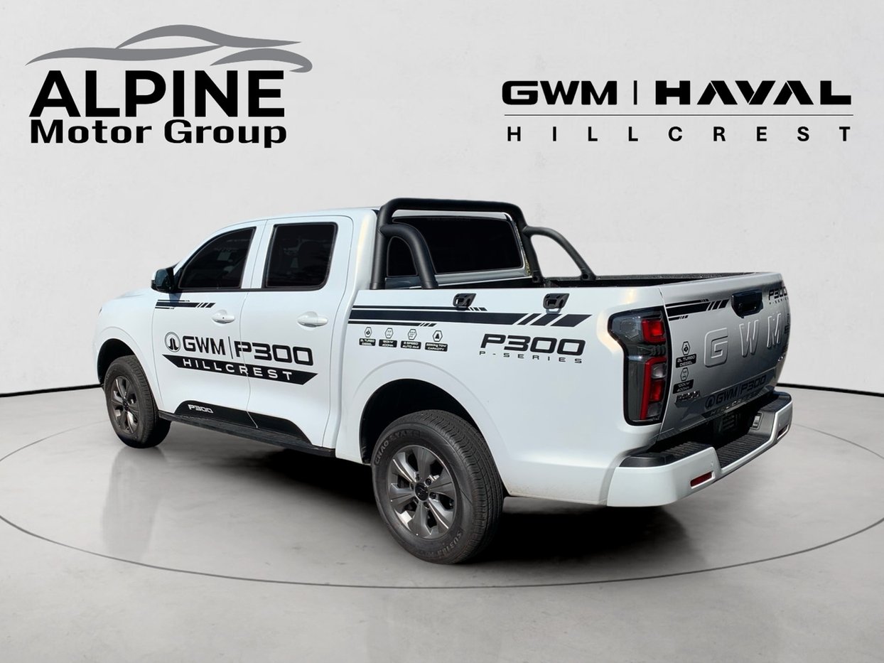 2025-WHITE-GWM-P300-SX-20TD-